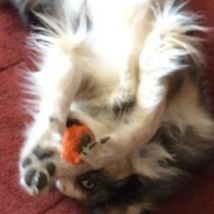 Meet your Posher, Rebecca